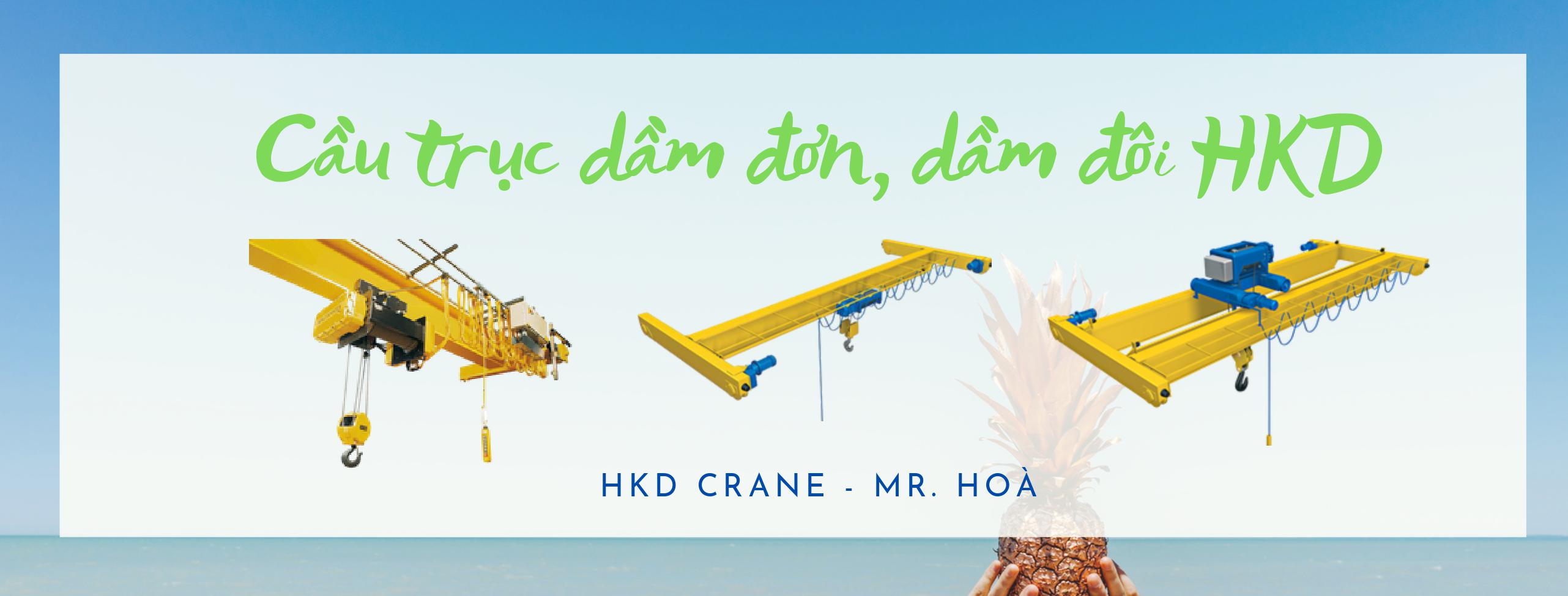 cầu truc dầm đơn, cầu trục dầm đôi HKD